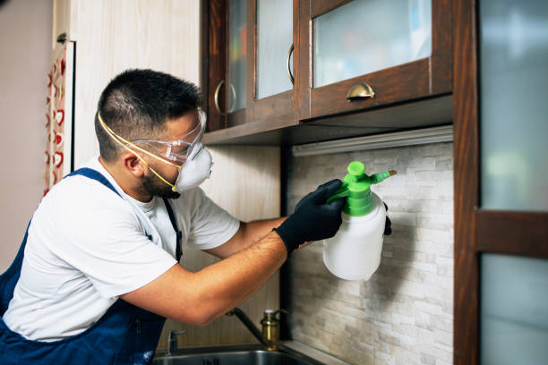 Best Pest Removal Services  in Oasis, CA