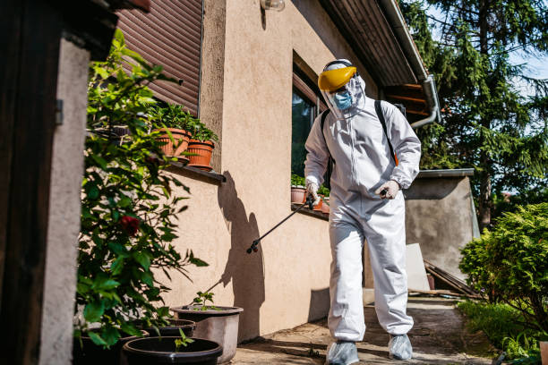 Best Rat Extermination Near Me  in Oasis, CA