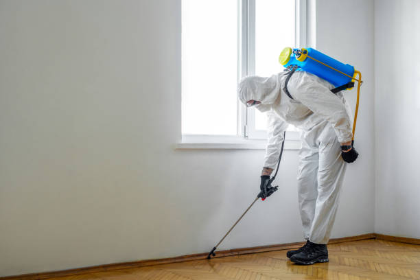 Best Insect Control  in Oasis, CA