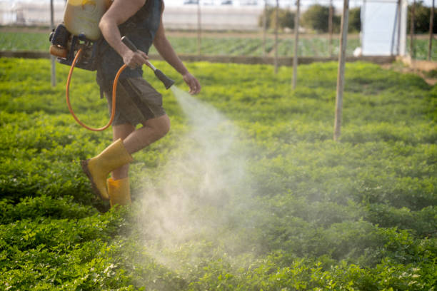 Best Exterminator Services  in Oasis, CA