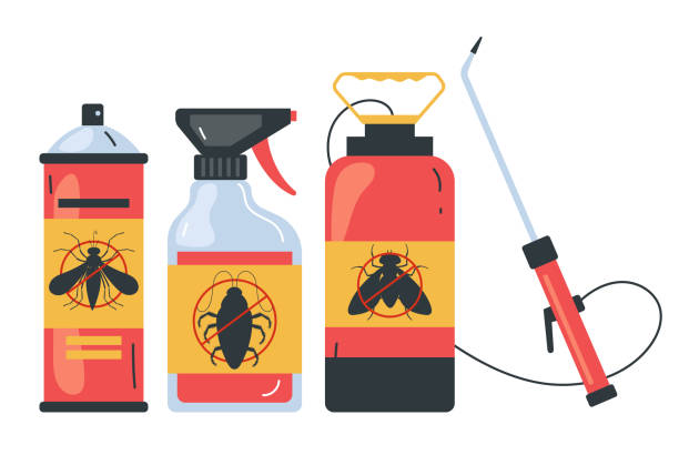 Professional Pest Control in Oasis, CA