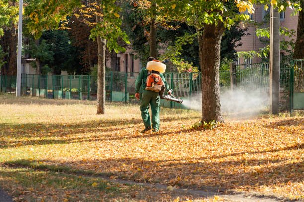 Best Pest Inspection Near Me  in Oasis, CA