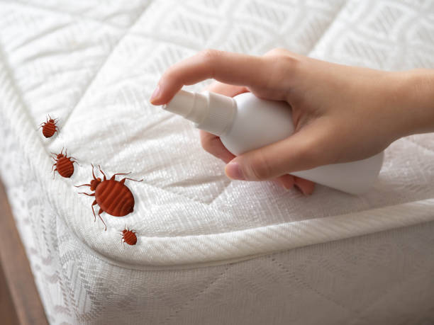 Best Pest Prevention Services  in Oasis, CA