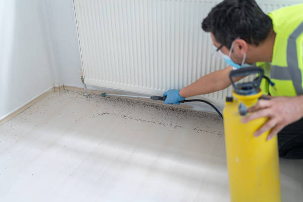 Best Pest Control for Homes  in Oasis, CA